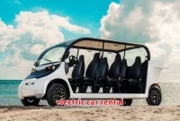 electric car rental electric car rental