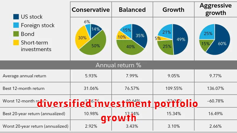 diversified investment portfolio growth