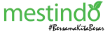 Mestindo Group company logo