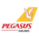 PT Pegasus Maju company logo