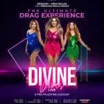 Divine Diva company icon