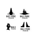Bali Arts Promotion company icon