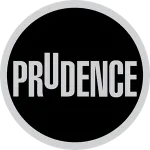 Prudence and Numbers company logo