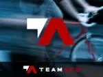 TeamAce company logo