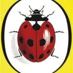 ladybird schools company logo