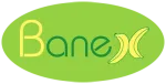 Banex Industries Limited company logo