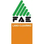 FAE LIMITED company logo