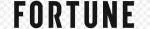 Fortune Security Company Limited company logo