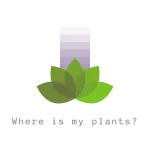 House of Plants (Lagos Plants) company logo