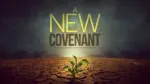 New Light Covenant Church company logo