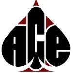 TEAM-ACE LIMITED company logo