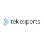 Tek Experts company logo