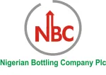 Thee New Nigerian Brand company logo