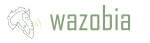 Wazobia Technologies company logo