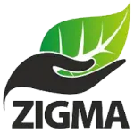 ZIGMA WAVE LIMITED company logo