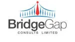 Bridgegap Consults Limited company logo