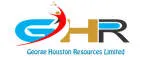 George houston consulting company logo