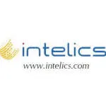 Intelics Solutions company logo