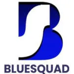 BLUESQUAD LIMITED company logo