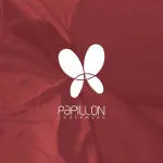 THE PAPILON PLASTICS COMPANY LIMITED company logo