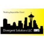 Divergent Solutions company logo