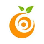 Tangerine Life company logo