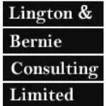 Lington & Bernie Consulting Limited company logo