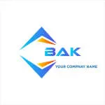 Bakkaz Information and Technology Limited company logo