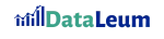 Dataleum company logo