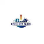 Eko Hot Blog company logo