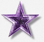 Purple Star Consulting Limited company logo