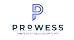 Prowess Outsourcing Limited company logo