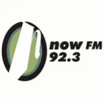 Radio Now FM company logo