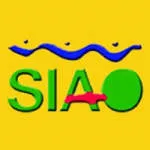 SIAO Partners company logo
