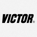 Vincintore Limited company logo