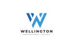 Wellington Clinics company logo