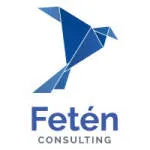 Festan Consulting Ltd company logo