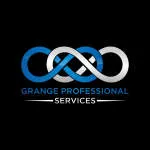 IGNO Professional Services company logo