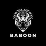 Babaonigba company icon