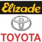 Elizade Nigeria Limited company icon