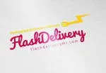 Flash deliveries company icon