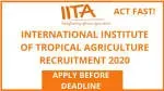 International Institute of Tropical… company icon