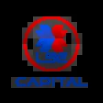 LSE Capital Ltd company icon