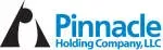 Boing Pinnacle Limited company icon