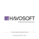 Havosoft international Limited company icon