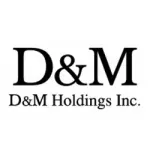 DM Holdings company icon