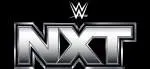 Scale NXT company icon
