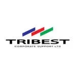 Tribest Corporate Support Limited company icon