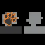 Girls Advocay for Peace Initiative (GAPI) company icon