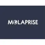 Molaprise company icon